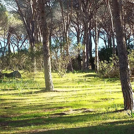 Holiday home Indipendente Al Centro Di Budoniaffitti
