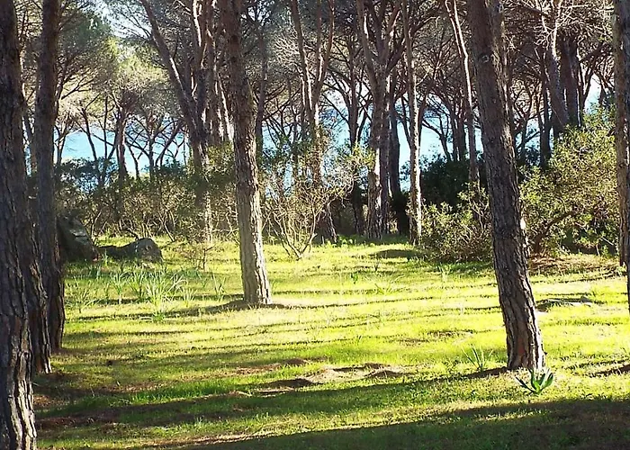 Holiday home Indipendente Al Centro Di Budoniaffitti